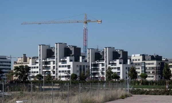 Squirrel aumenta su participación en Comercializadora BF al 85,3% tras adquirir un 34,25% adicional
