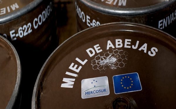 Brasil reporta que importaciones de miel del Mercosur casi se duplican en los primeros tres meses del acuerdo