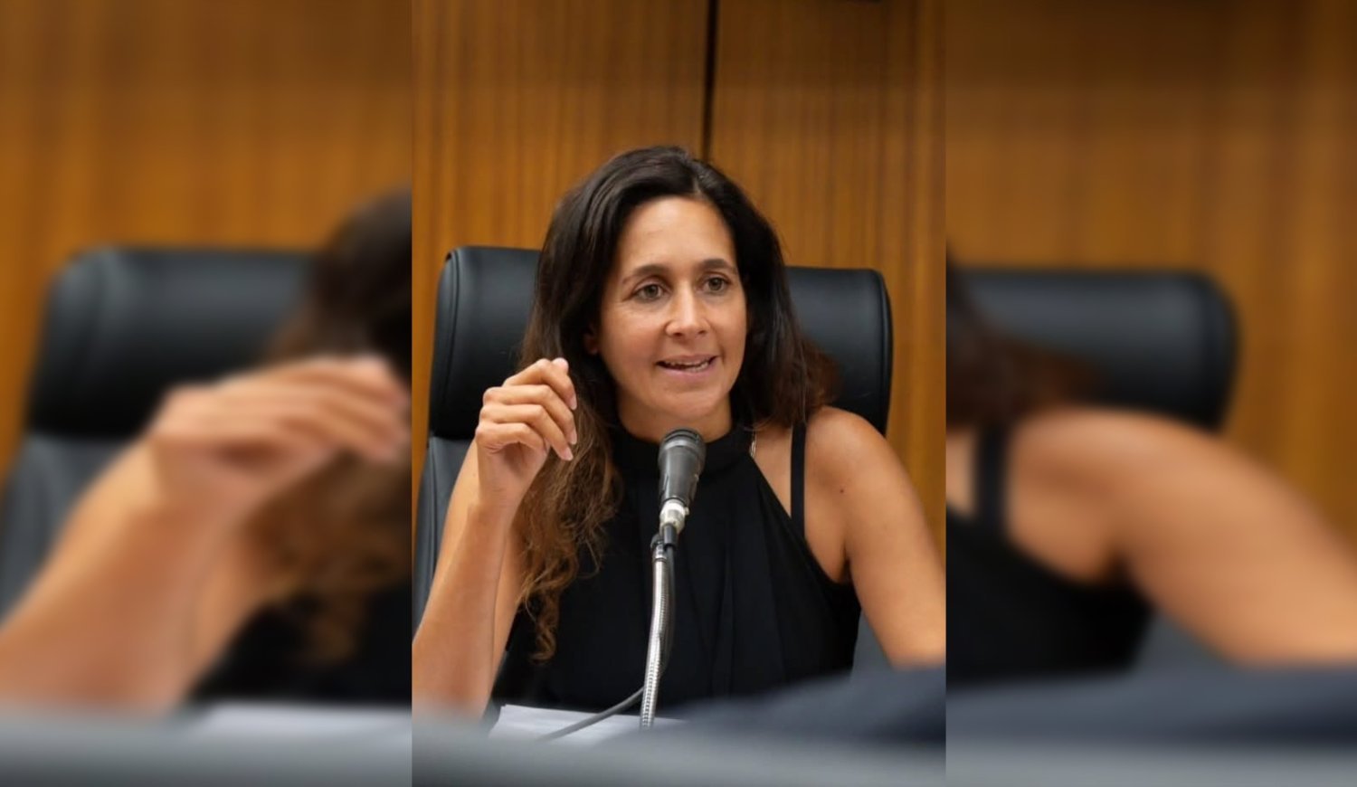 La diputada Nicol Salle durante su intervención en el Palacio Legislativo.