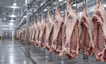 Reses de carne en la cadena de producción de la planta frigorífica.