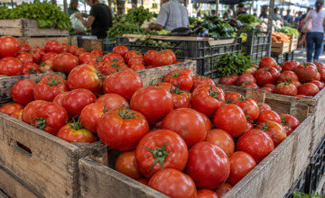 Cajones con tomates frescos a la venta en un puesto de feria franca.
